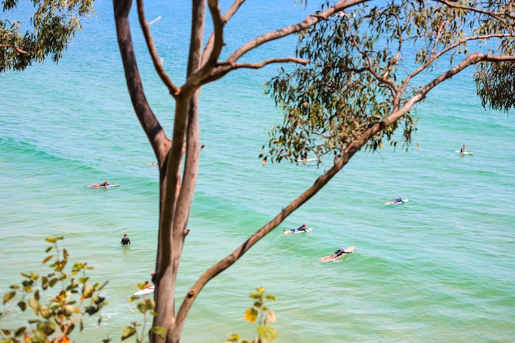 noosa queensland noosa national park costal walk surfer