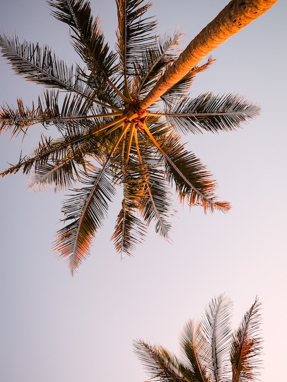 noosa queensland plamen