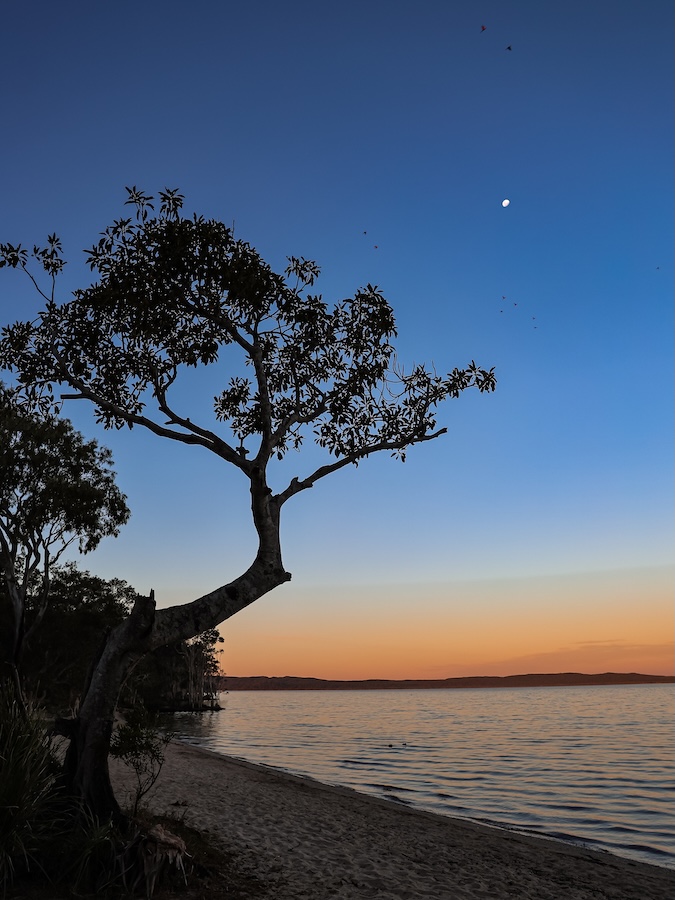noosa queensland sonnenuntergang am see 2