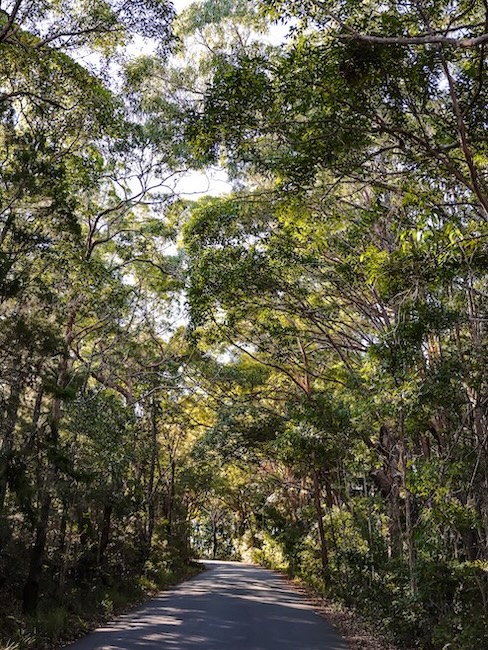 noosa queensland weg zum laguna lookout