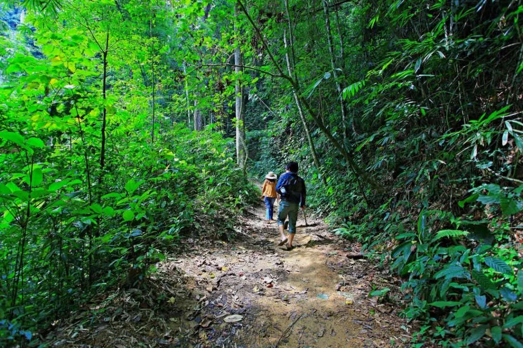 Personen beim Wandern durch den Khao Sok Nationalpark Thailand