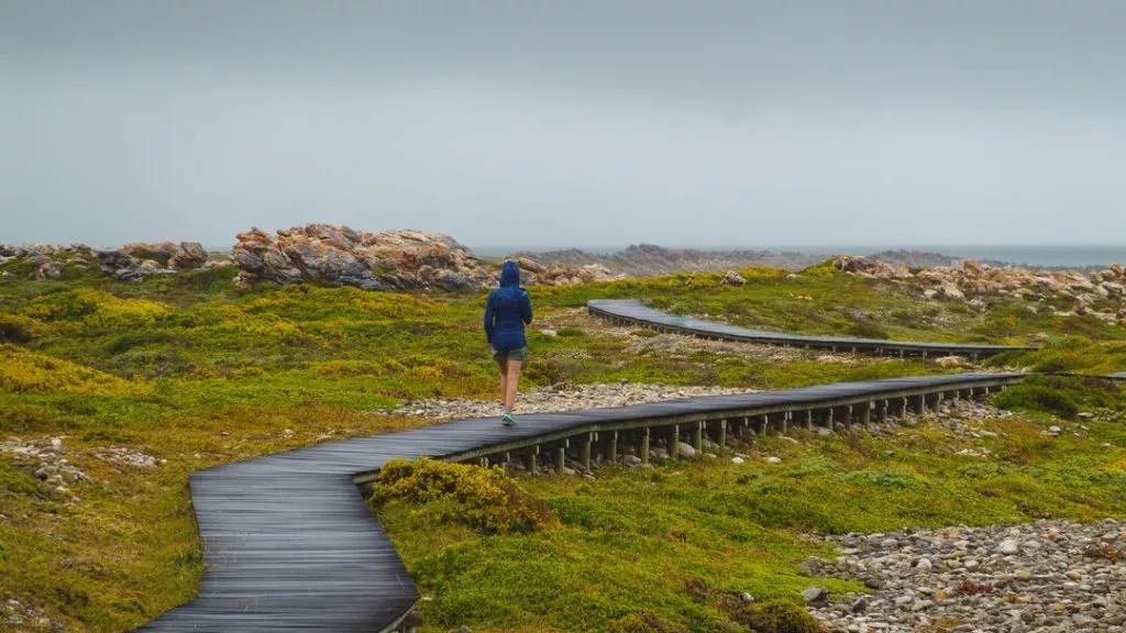 Südafrika_Kap Agulhas_Spazierweg am Meer