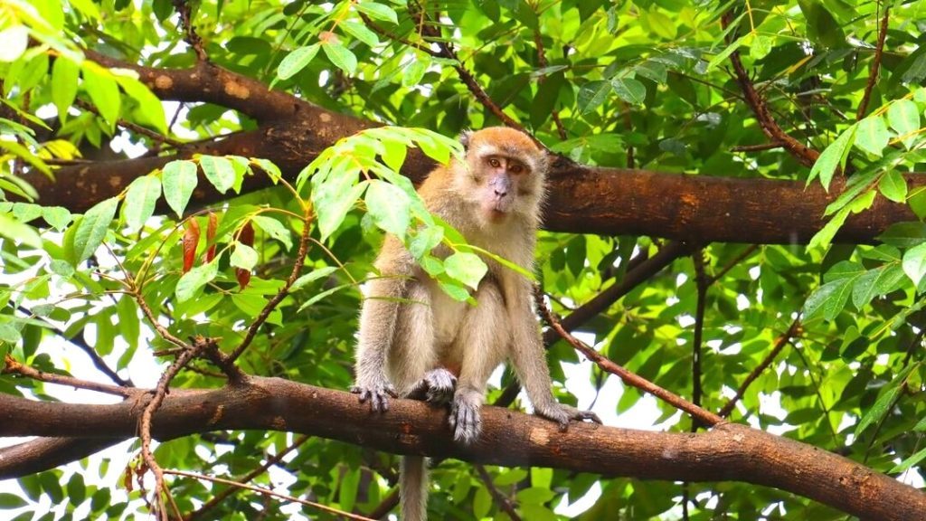 taha 5fh53TZF4pE unsplash 1 1 min