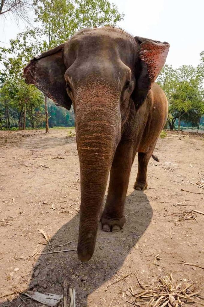 thailand 997412 1920 min