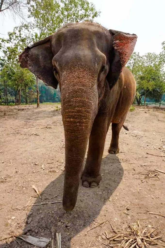 thailand 997412 1920 min