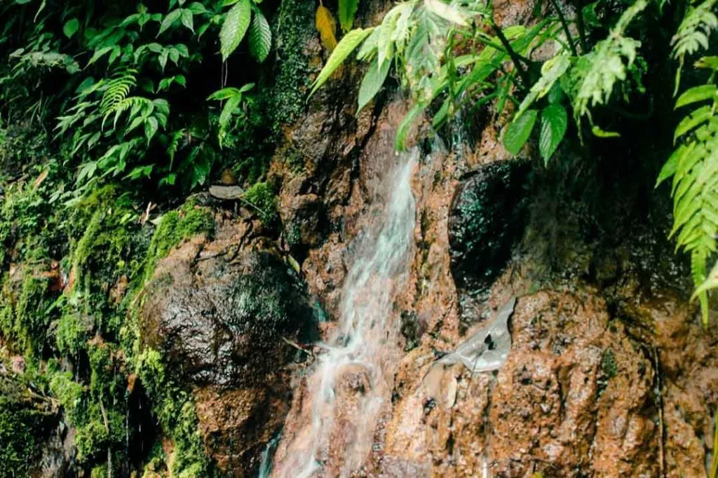 Wasserfall im Khao Sok Nationalpark Thailand