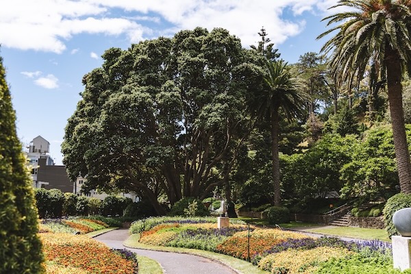 wellington botanischer garten