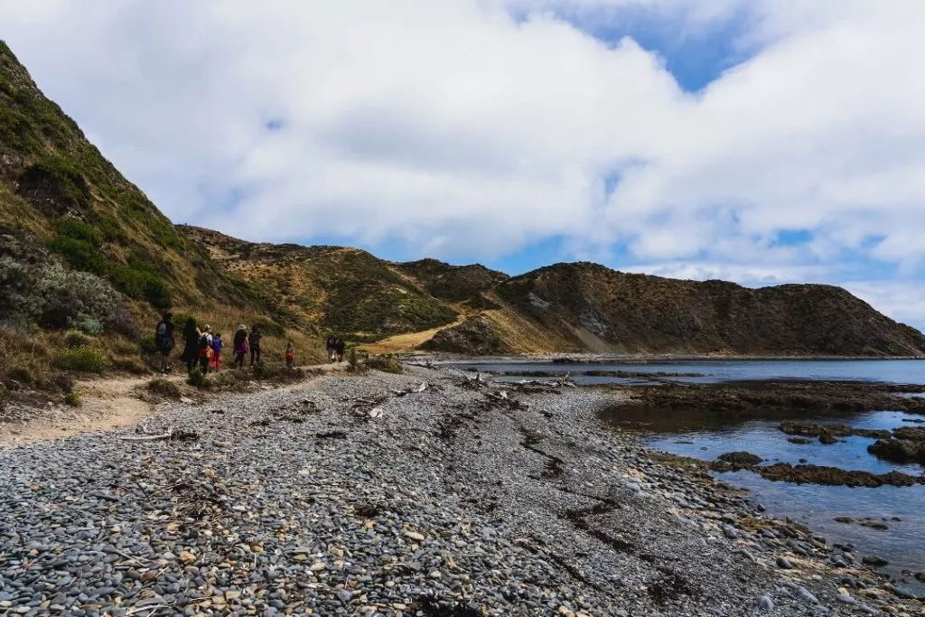 Wellington Makara Beach Walkway