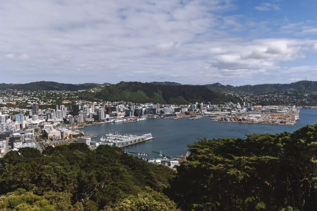 Wellington Mt. Victoria Lookout