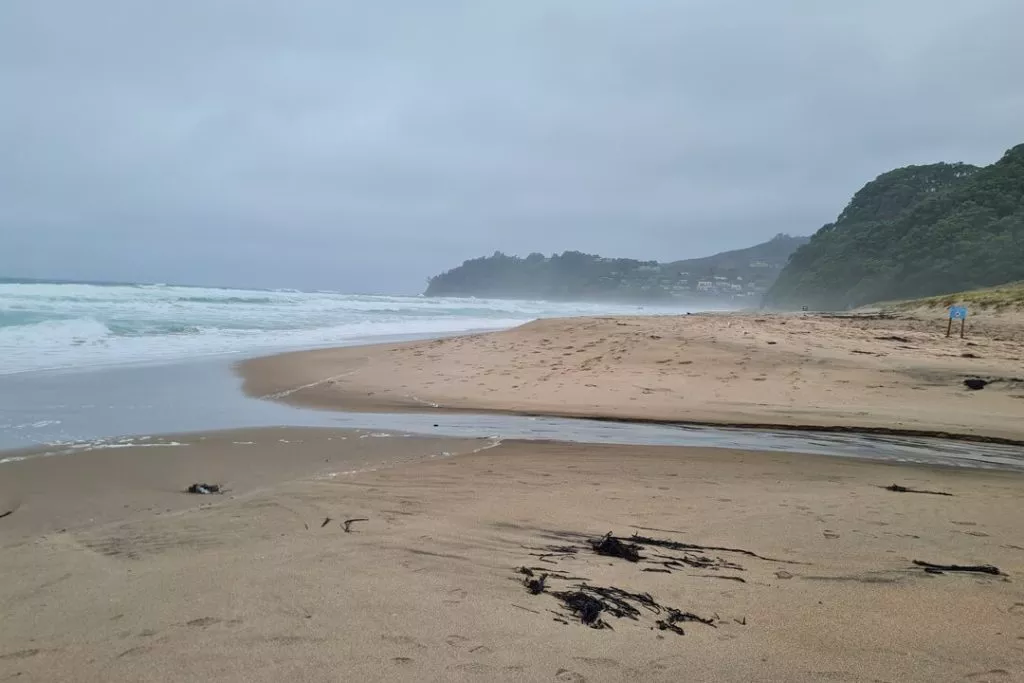 20230106 162755 Hot Water Beach Mündung