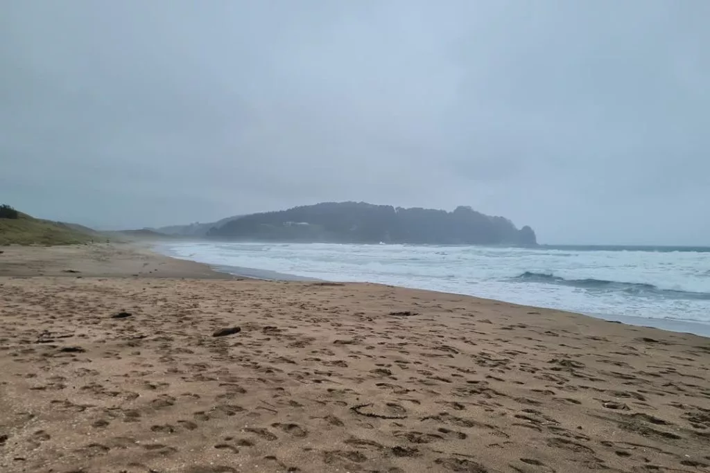 20230106 163315 Hot Water Beach Strand