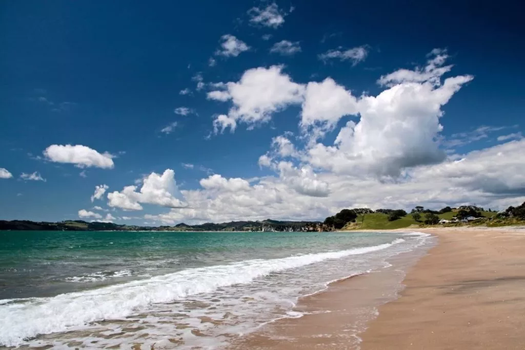 Depositphotos 6541745 L 1 Shakespeare Cliff Cooks Beach