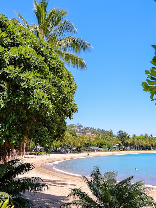 Airlie Beach & Whitsundays, Australien, Strand mit Palmen