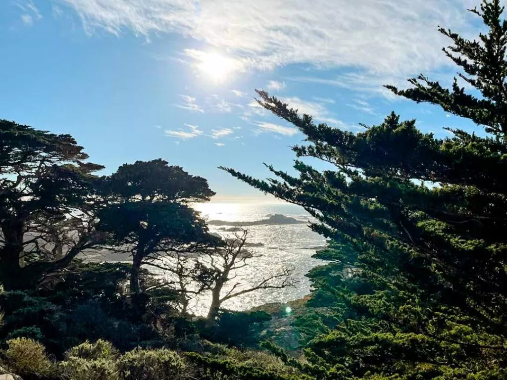 Ausblick beim Point Lobos State Natural Reserve Kalifornien USA