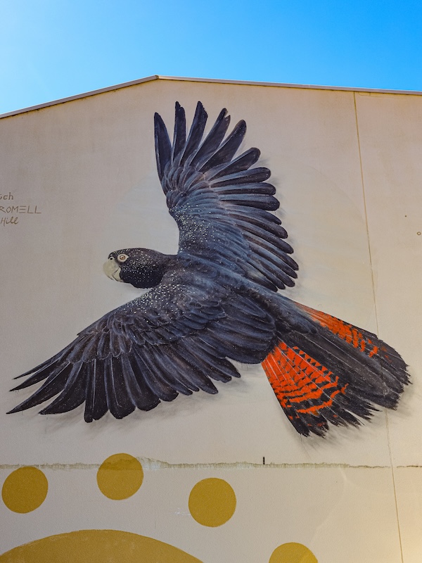 Australien, Sehenswürdigkeiten, Graffiti