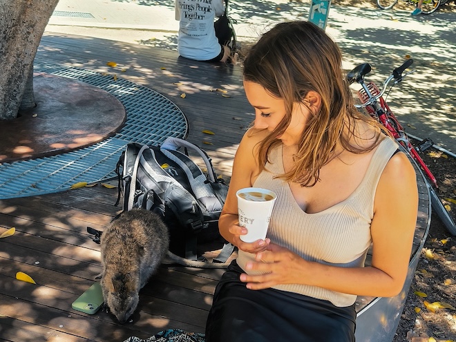 Australien, Sehenswürdigkeiten, Isa und Quokka