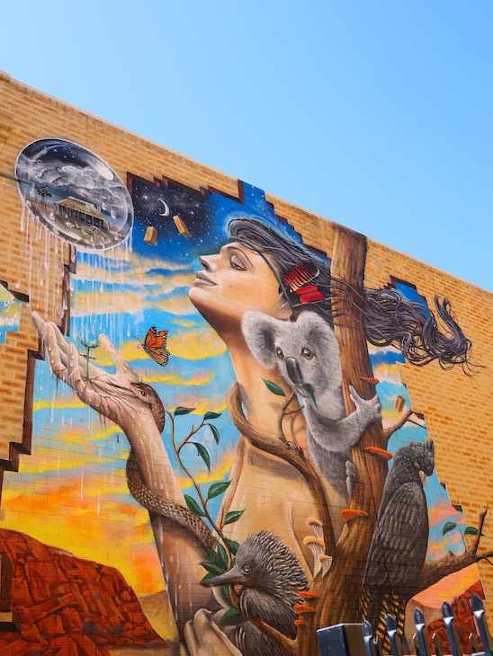 Australien, Sehenswürdigkeiten, Koala Graffiti