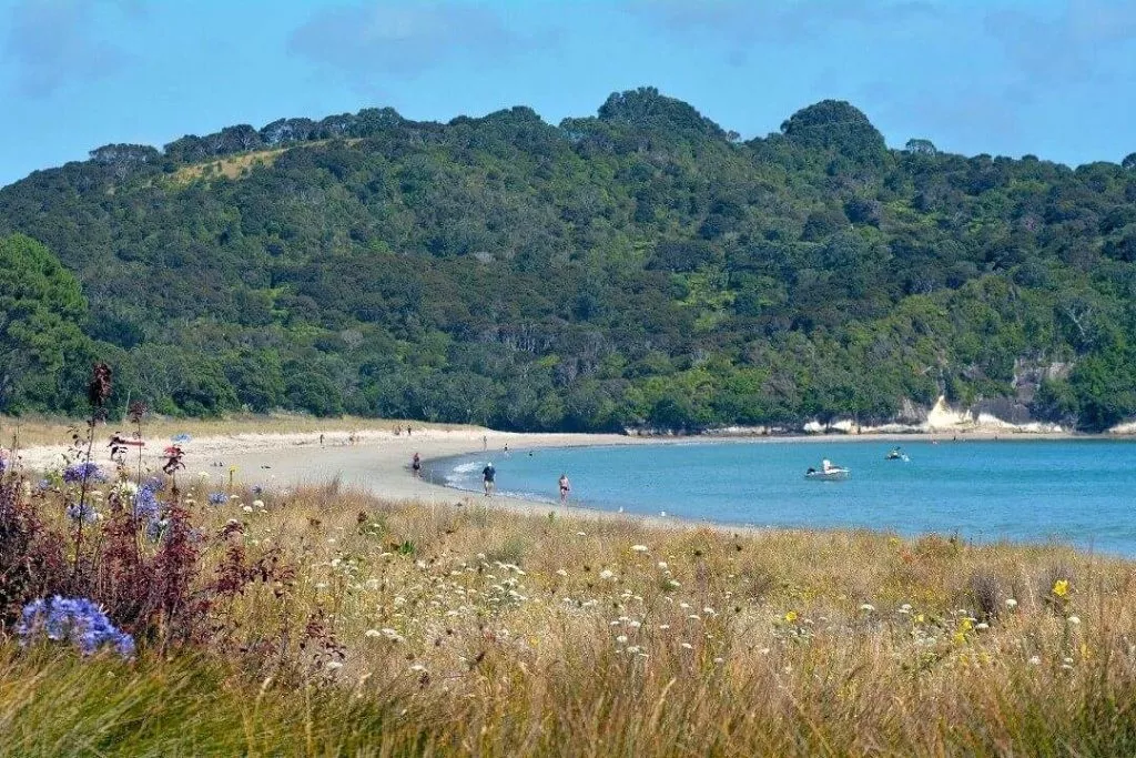 coromandel halbinsel cooks beach neuseeland Coromandel Halbinsel Cooks Beach Neuseeland