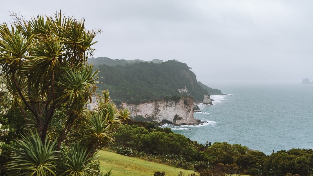 Coromandel Halbinsel Neuseeland