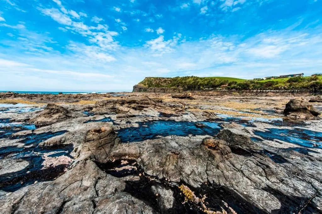 Curio Bay Southern Scenic Route