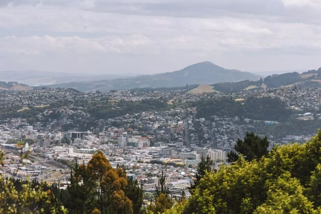 Dunedin Stadtbild Hügel