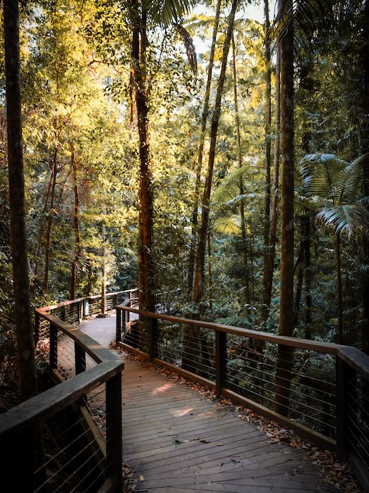 K'gari (Fraser Island), Australien, Boardwalk