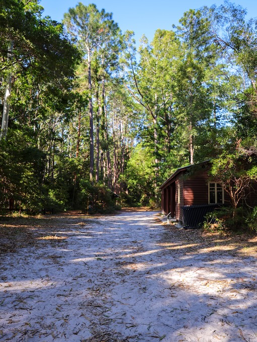 K'gari (Fraser Island), Australien, Central Station, Rainforest