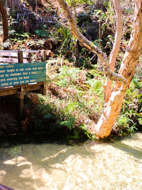 K'gari (Fraser Island), Australien, Eli Creek Natur