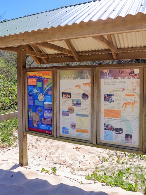 K'gari (Fraser Island), Australien, Infotafel Dingos