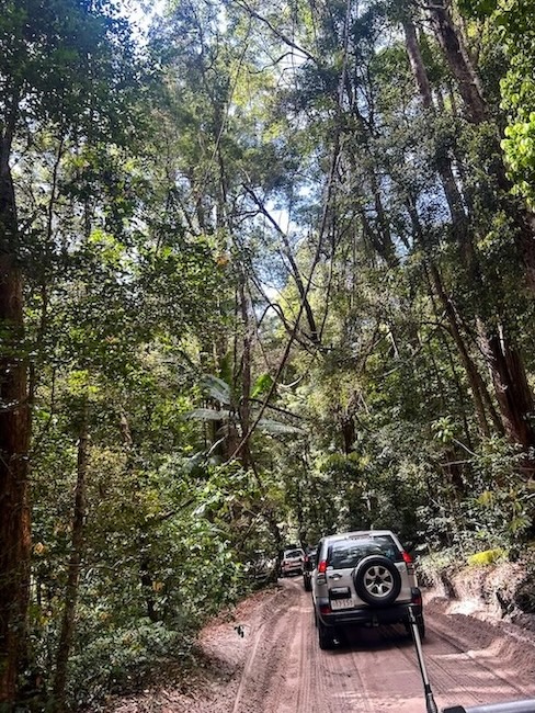 K'gari (Fraser Island), Australien, Jeeptour durch den Wald