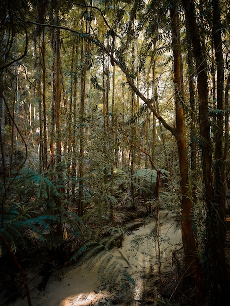 K'gari (Fraser Island), Australien, Natur
