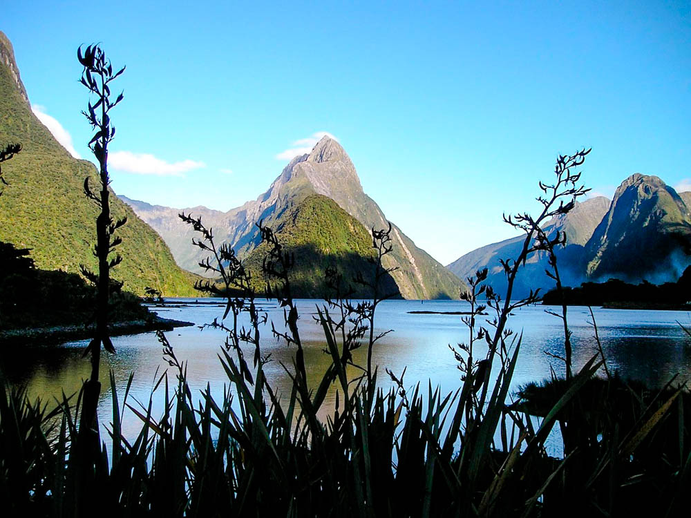 milford sound fjordland neuseeland cruise aussicht auf milford sound Milford Sound, Fjordland, Neuseeland, Cruise, Aussicht auf Milford Sound