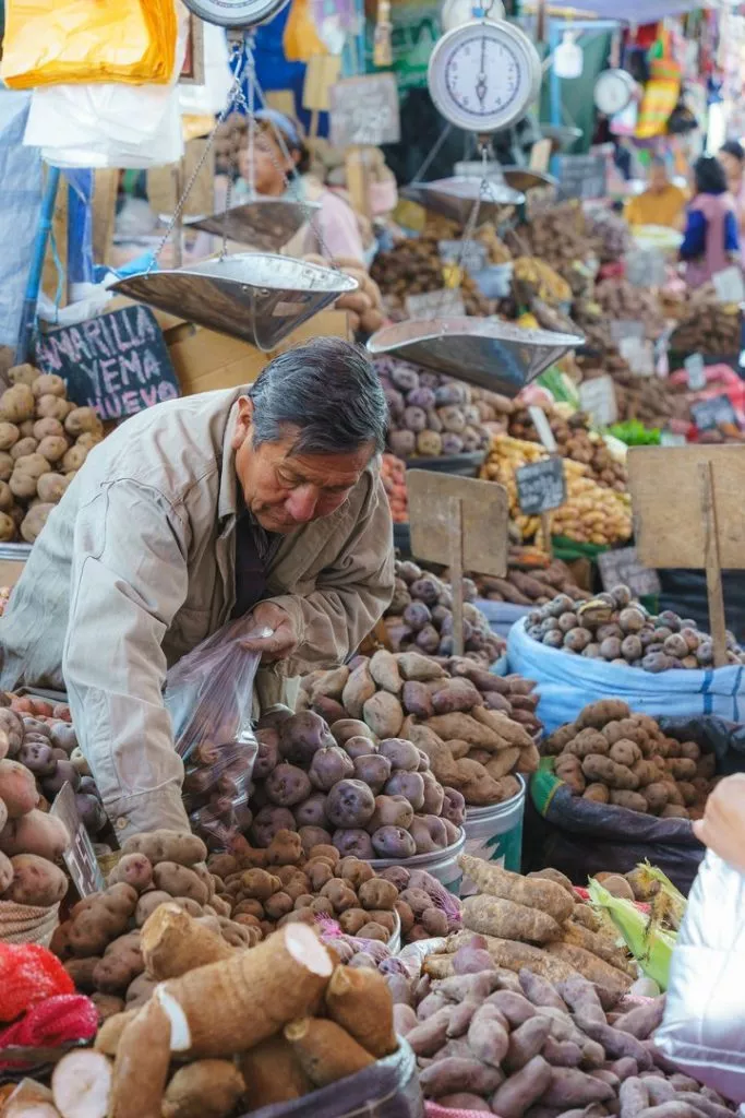 Peru_Arequipa_Riesen Auswahl an verschiedenen Kartoffelsorten