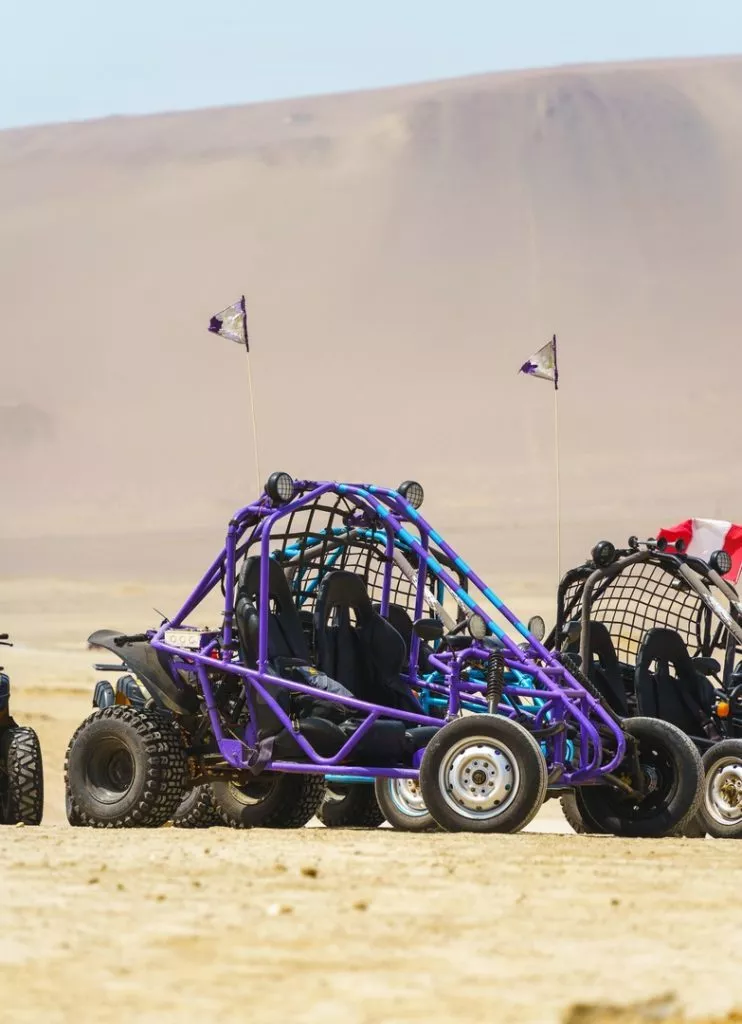 Peru_Paracas_Buggy