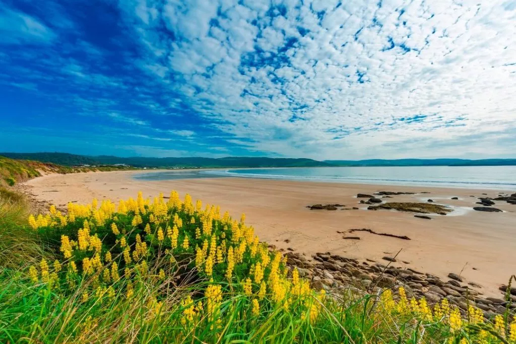 Porpoise Bay Southern Scenic Route