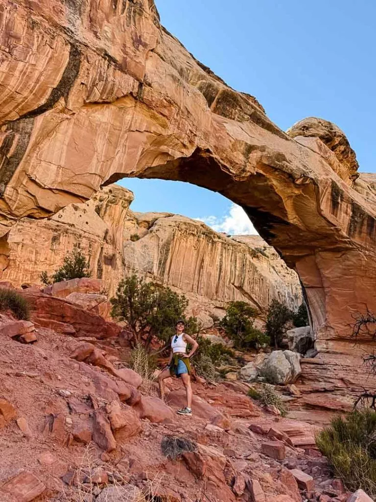 Rote Felsen und Steinbögen im Capitol Reef Nationalpark
