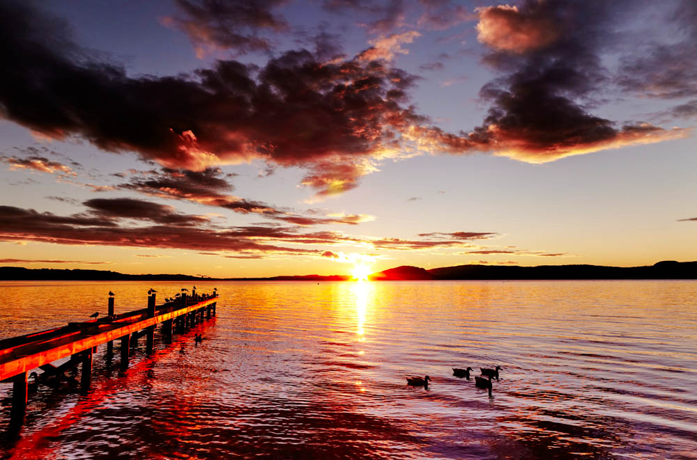 rotorua neuseeland sehenswuerdigkeiten lakefront boardwalk bei sonnenaufgang Rotorua Neuseeland, Sehenswürdigkeiten, Lakefront Boardwalk bei Sonnenaufgang