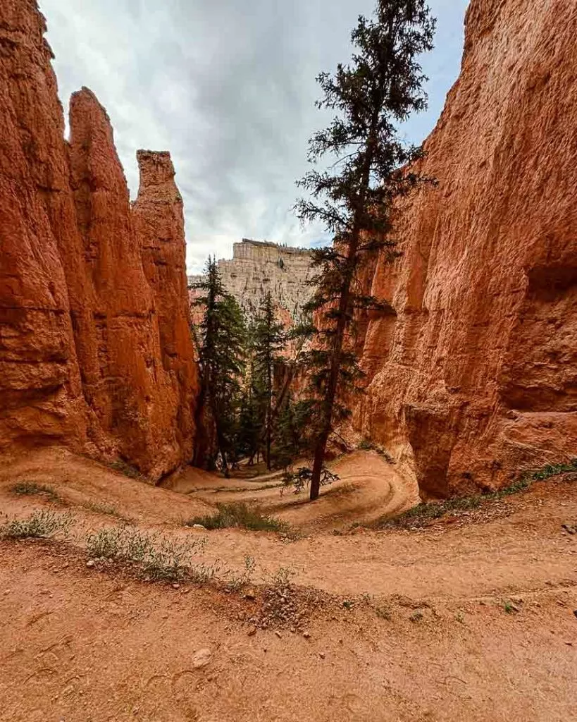Serpentinen durch Hoodoos, Bryce Canyon