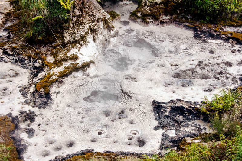 taupo neuseeland sehenswuerdigkeiten craters of the moon schlammloecher Taupo Neuseeland, Sehenswürdigkeiten, Craters of the Moon, Schlammlöcher