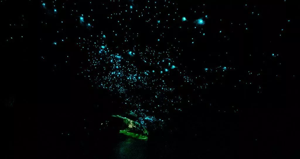 te aau fjordland neuseeland te anau milford sound glowworm caves Te Aau, Fjordland, Neuseeland, Te Anau, Milford Sound, Glowworm Caves