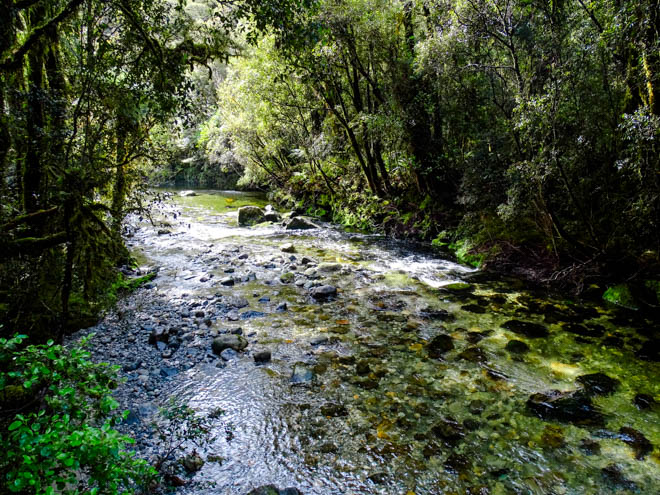 te anau milford sound fjordland neuseeland great walks bach entlang des milford tracks Te Anau, Milford Sound, Fjordland, Neuseeland, Great Walks, Bach entlang des Milford Tracks