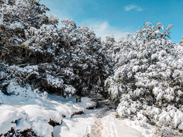 te anau milford sound fjordland neuseelandgreat walks kepler track Te Anau, Milford Sound, Fjordland, Neuseeland, Great Walks, Kepler Track