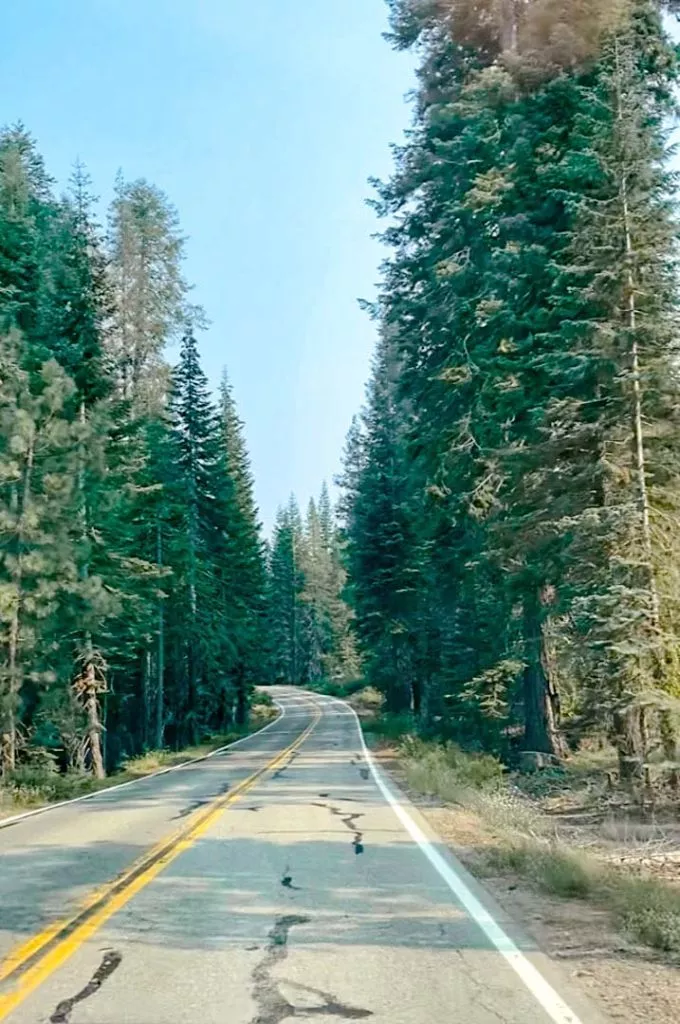 tioga pass im yosemite nationalpark usa 2 Tioga Pass im Yosemite Nationalpark USA