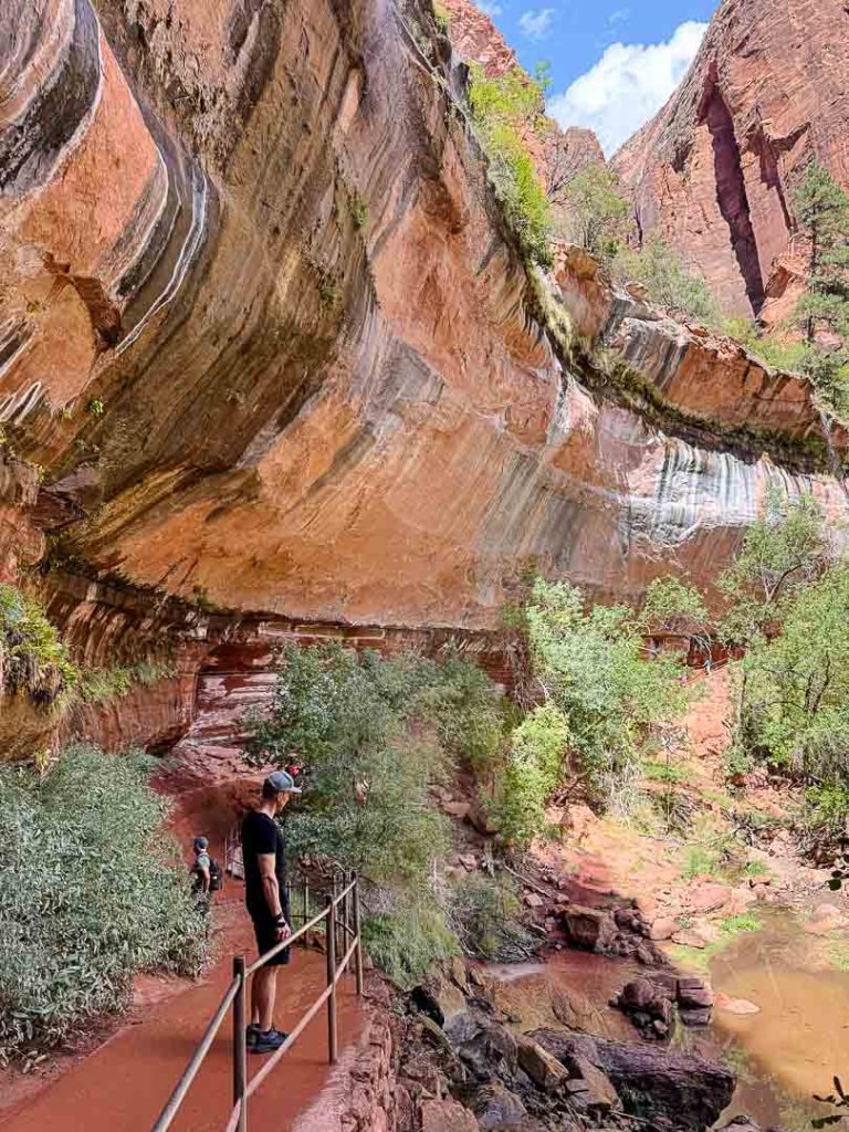 Weeping Rock im Zion Nationalpark, Utah