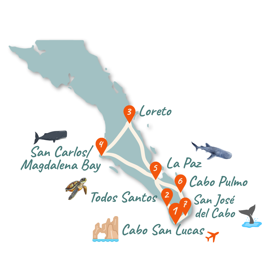 Baja California_2 Wochen_Karte_Sidebar