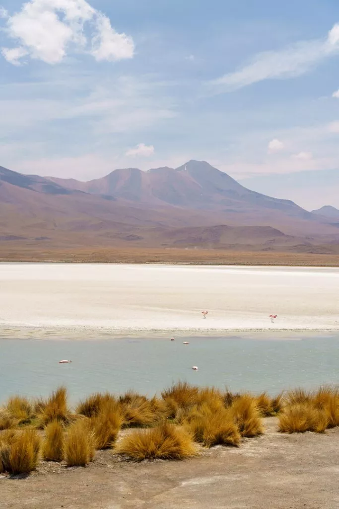 Bolivien Uyuni Lagune mit Flamingo Bolivien_Uyuni_Lagune mit Flamingo