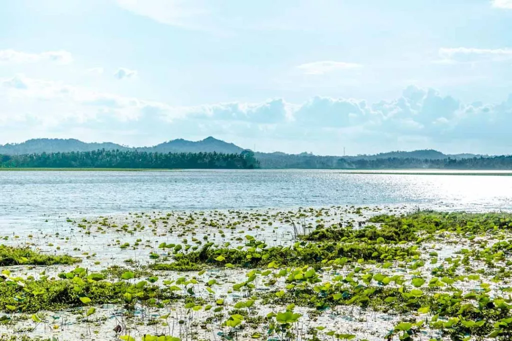 Sri Lanka Tissamaharama Lake