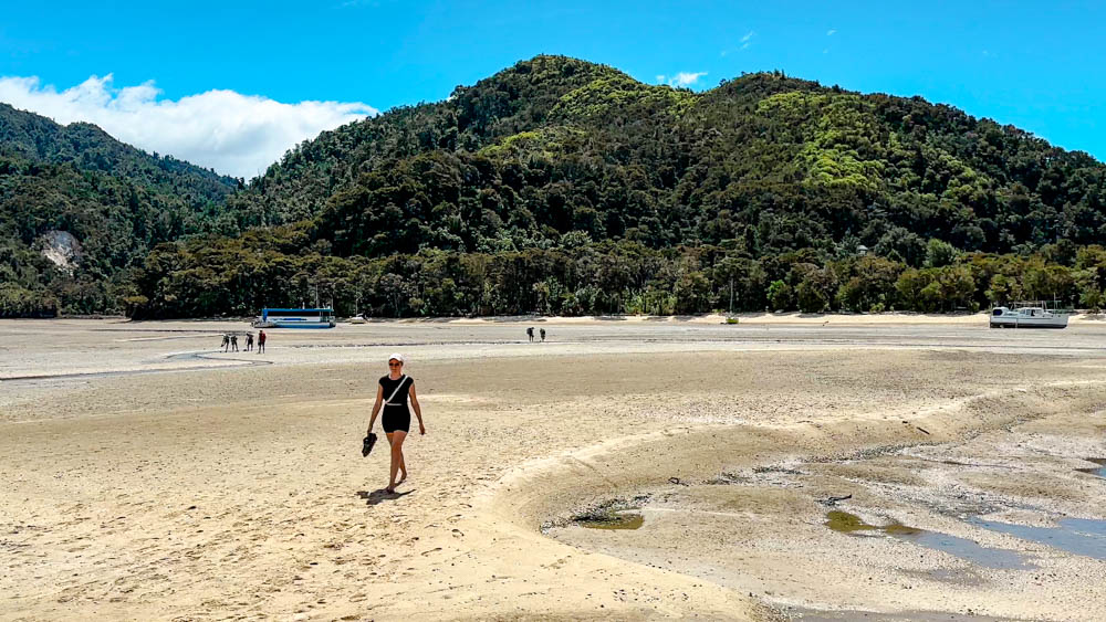 abel tasman nationalpark neuseeland ebbe zwischen anchorage bay und torrent bay Abel Tasman Nationalpark, Neuseeland, Ebbe zwischen Anchorage Bay und Torrent Bay