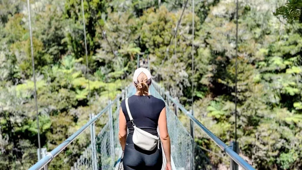 abel tasman nationalpark neuseeland falls river swing bridge Abel Tasman Nationalpark, Neuseeland, Falls River Swing Bridge