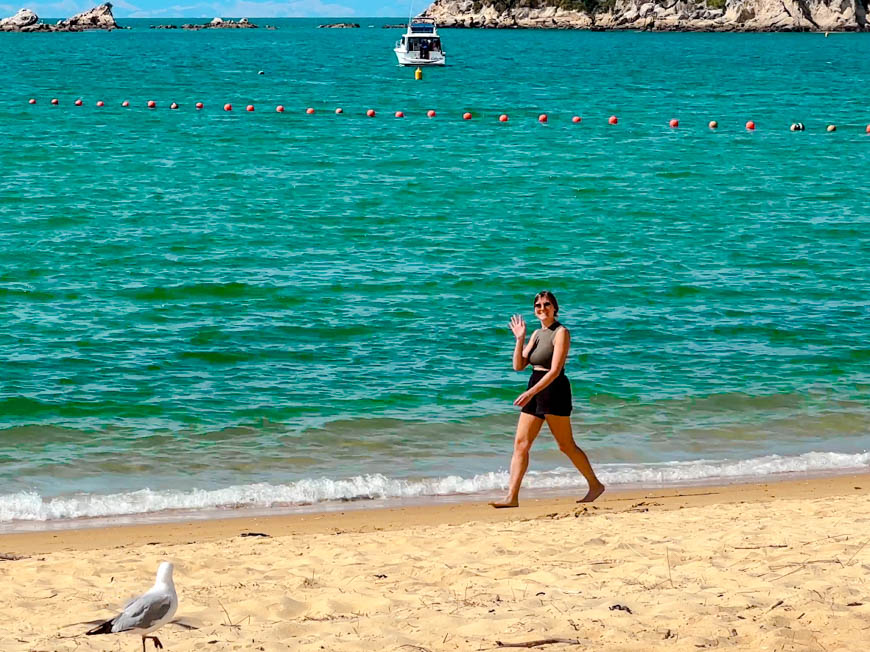 abel tasman nationalpark neuseeland goldene sandstraende entlang des coast track Abel Tasman Nationalpark, Neuseeland, goldene Sandstrände entlang des Coast Track